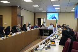 برگزاری هفتمین جلسه ستاد اجرایی و هماهنگی برنامه پزشکی خانواده و نظام ارجاع معاونت بهداشت